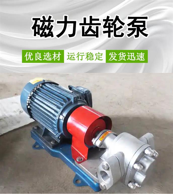 <strong>ZYB整体合金磁力齿轮泵</strong>